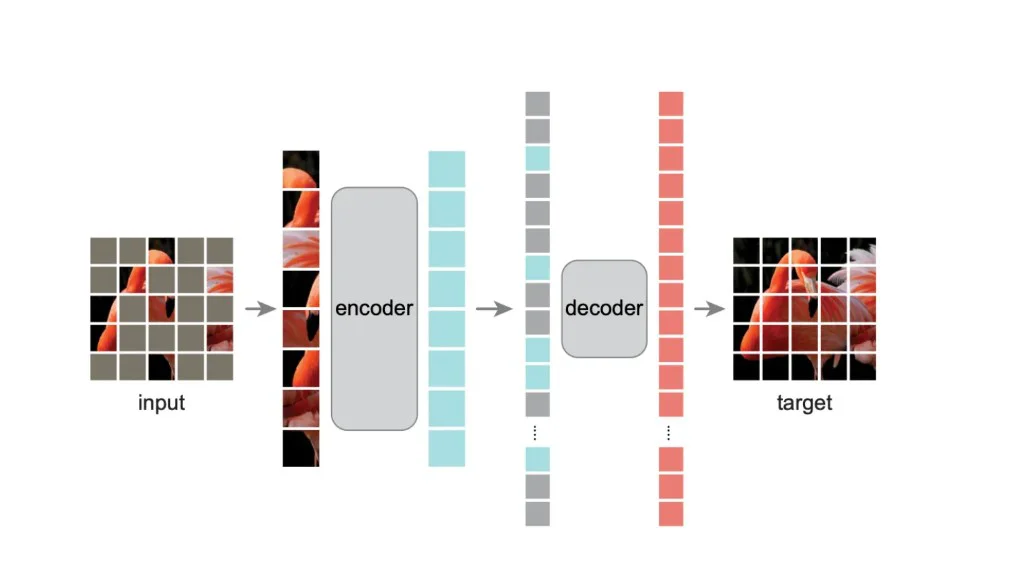 Masked Autoencoder reconstructing missing image patches from visible context