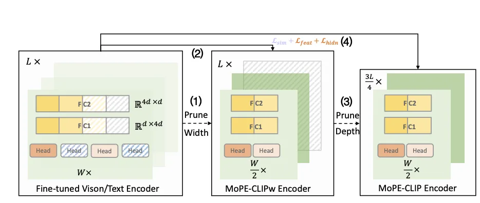 MoPE-CLIP width and depth pruning of attention heads, FFN neurons, and Transformer layers